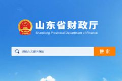 山东省财政厅关于印发《山东省政府采购网上商城建设推进方案》的通知